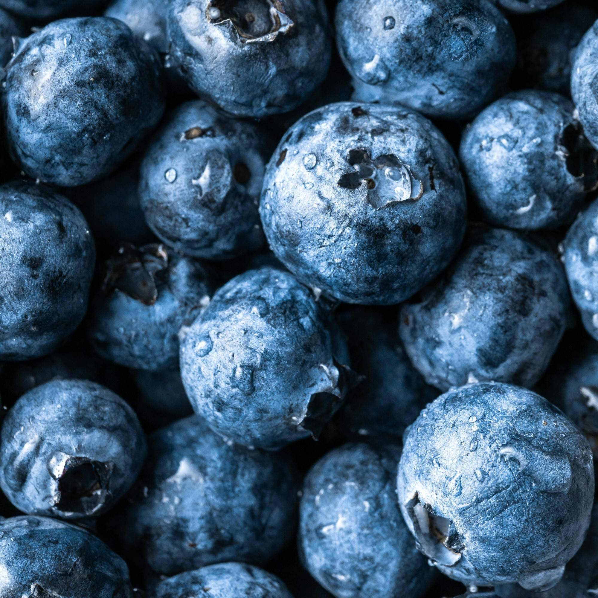 Heidelbeeren