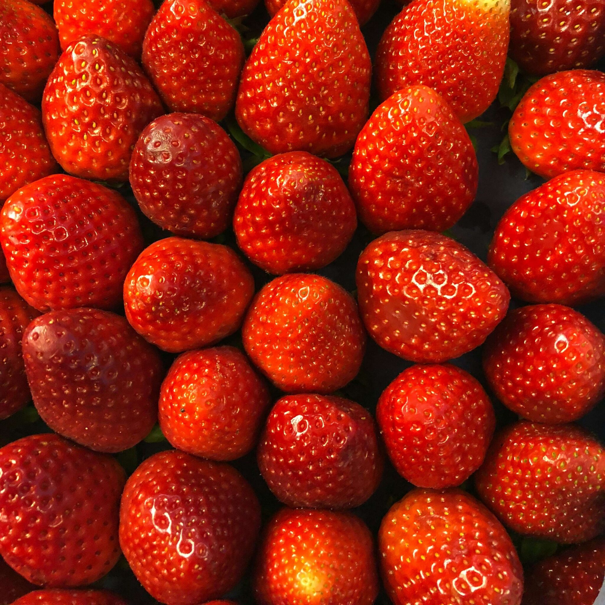 Erdbeeren